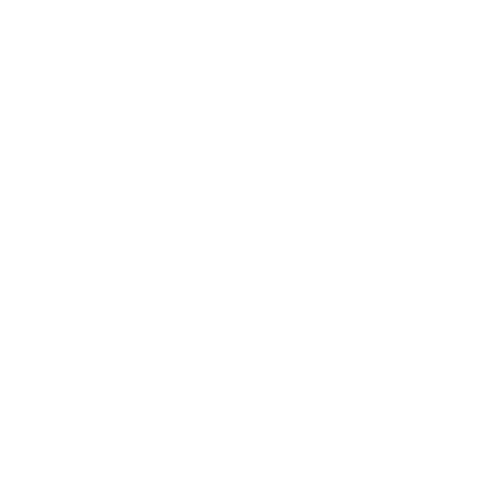 o9 Solutions